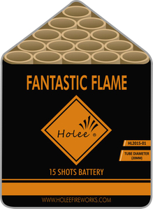 Holee Fireworks F2 cakes 15 shots HL2015-01 Frieworks